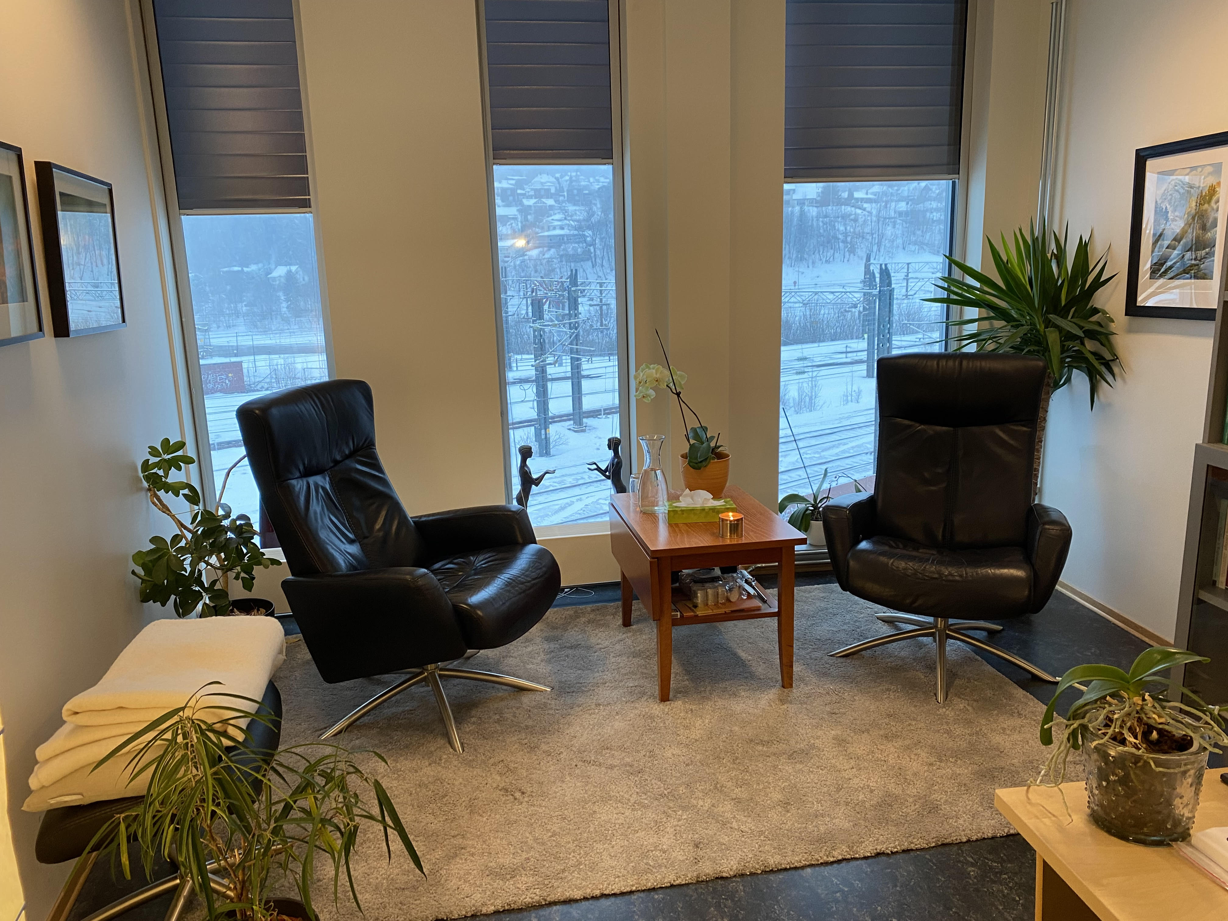 To sorte lenestoler med et bord i mellom og planter.